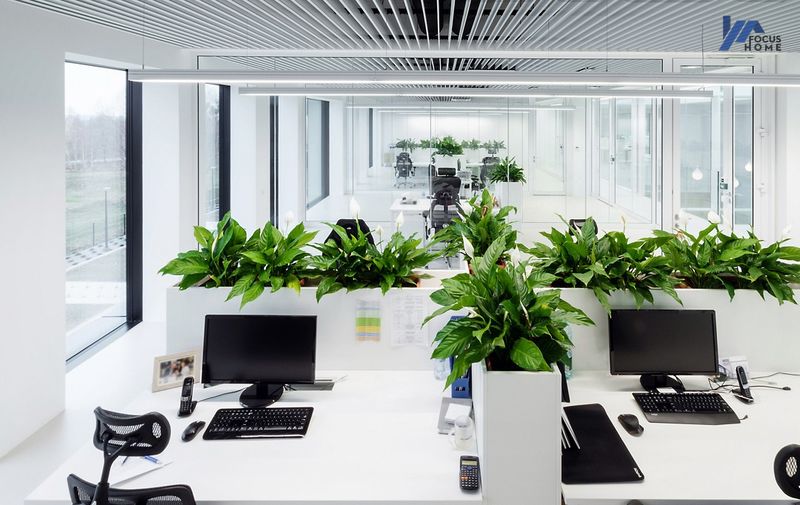 Mẫu văn phòng tận dụng không gian xanh khi thiết kế nội thất phong cách tối giản